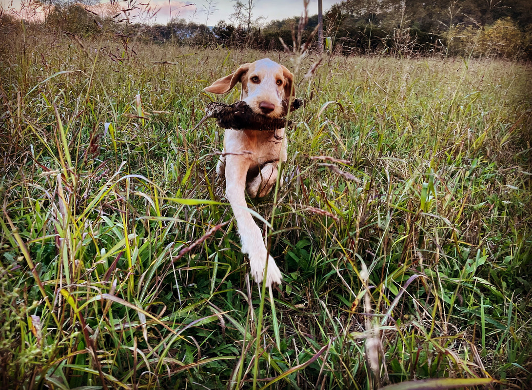 4D486F12-F327-4FC8-8EE3-0375352044A0