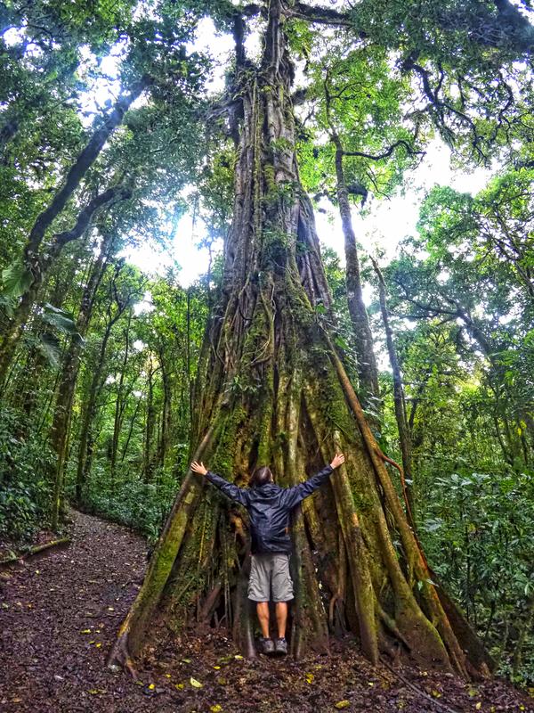 3 semanas Costa Rica en autobús 2018 Oct - Blogs de Costa Rica - Día 12. Monteverde Bosque y Canopy (2)