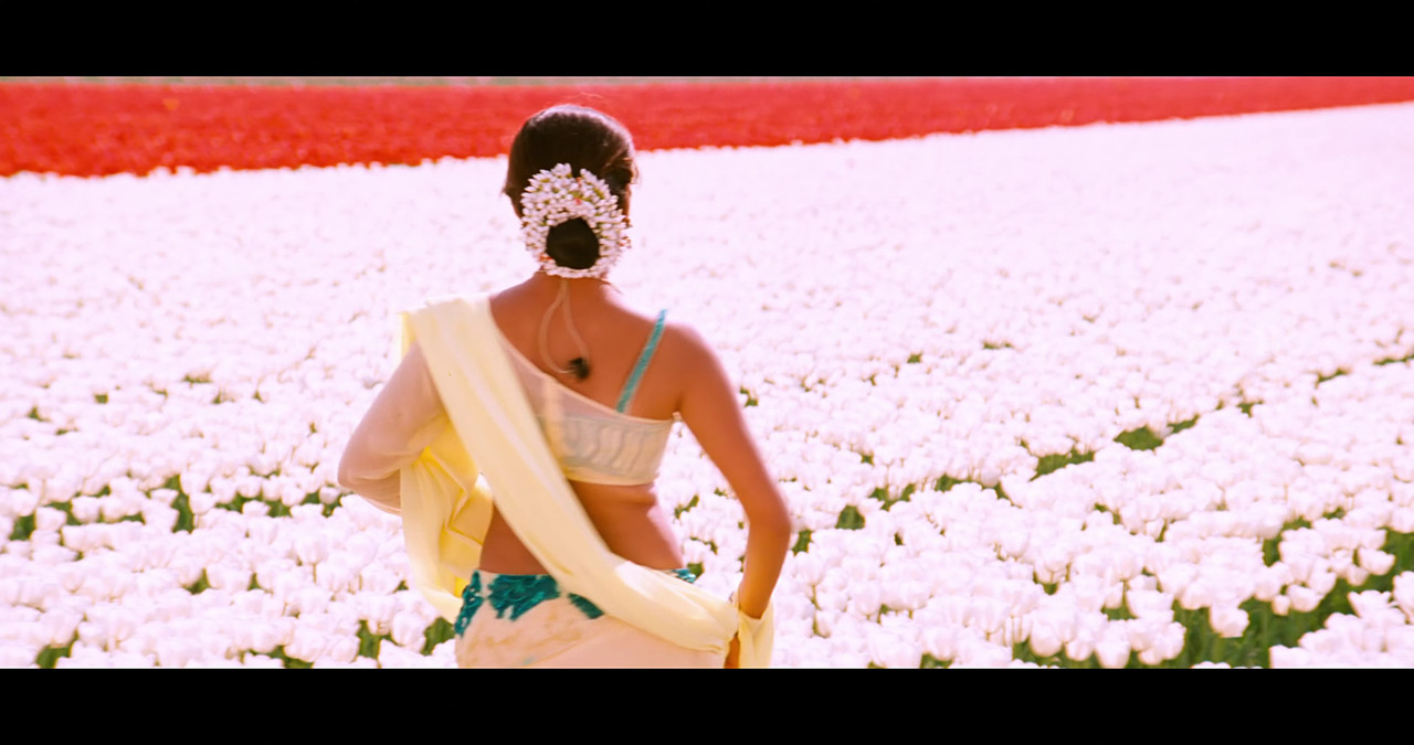 VideoCapture_20241122-195935