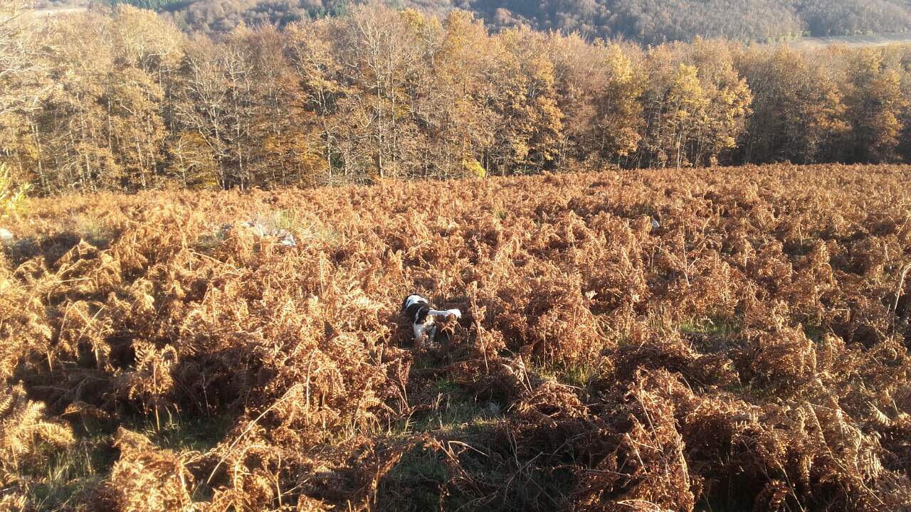 D7668615-EA9B-4DFB-A9CE-A1AC73A31A20