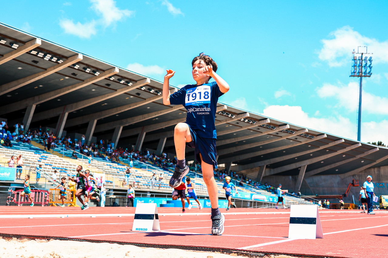 Canary Run 14