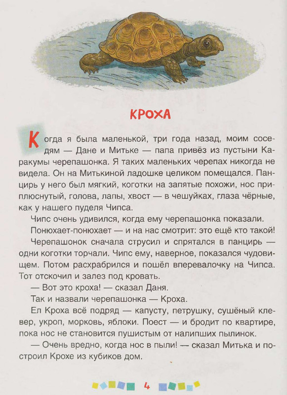 page-0005