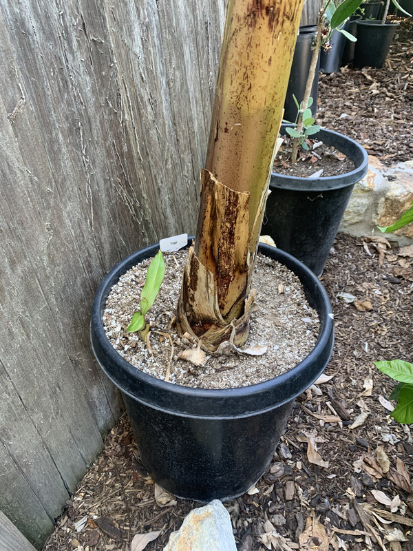 A6A8F38F-DB93-4F10-BFF7-B5479FDBBF0F