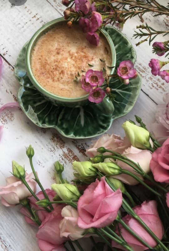 Screenshot_20230309_230621_Pinterest