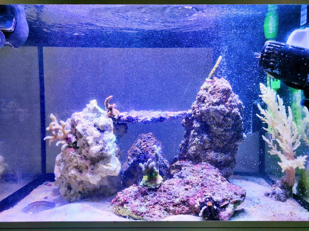 EB8C4569-59D1-43B6-8877-E851217A37B7