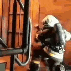 GIFs-13