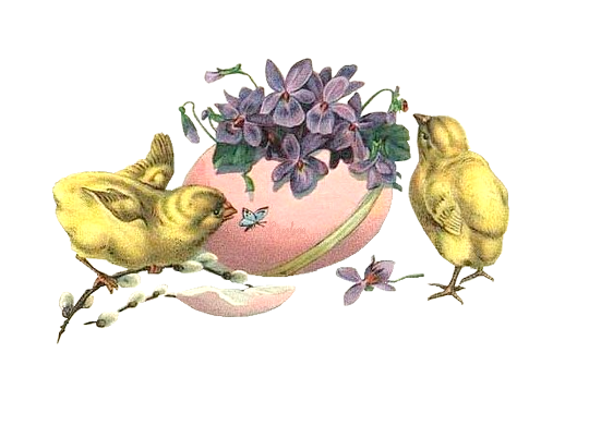 0_1c0c80_9e05a95_orig