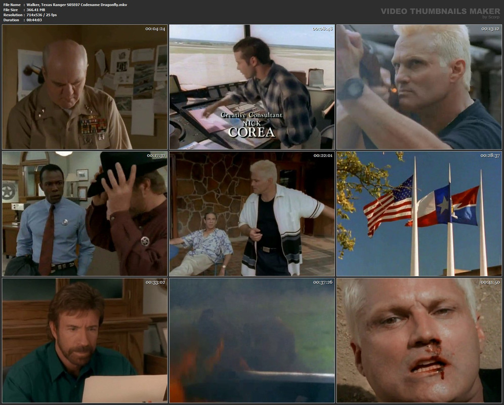 Walker, Texas Ranger S05E07 Codename Dragonfly.mkv