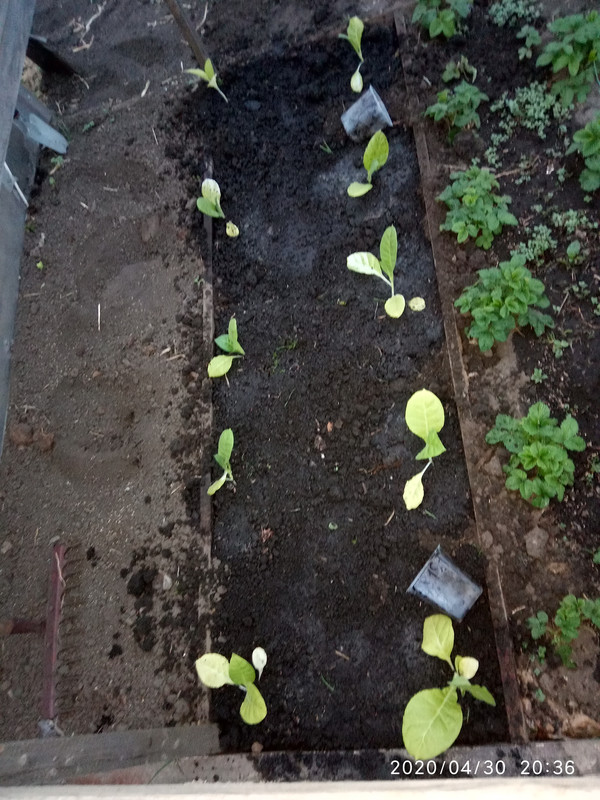 15882537493004690707491261543162