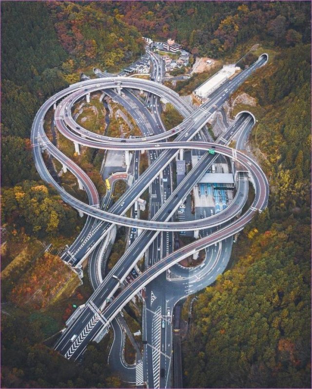Fascinating-24