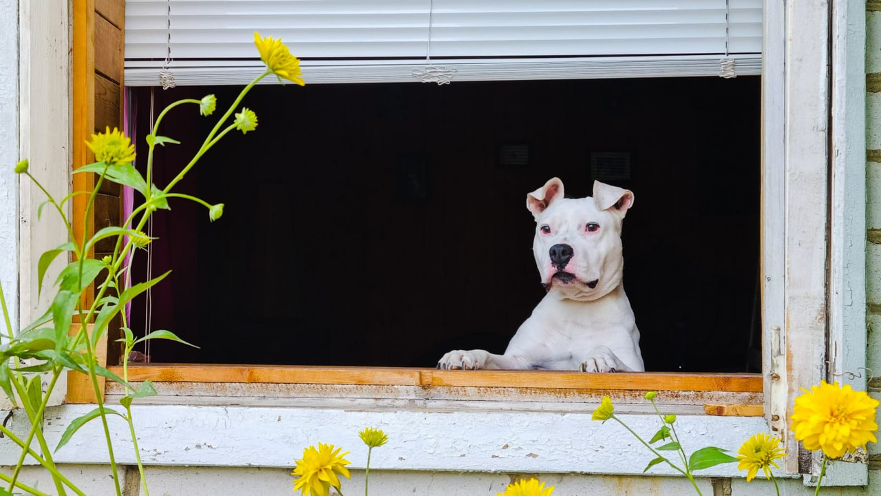 3B8F1A72-B246-454D-9D7E-3F3BCE00F40B