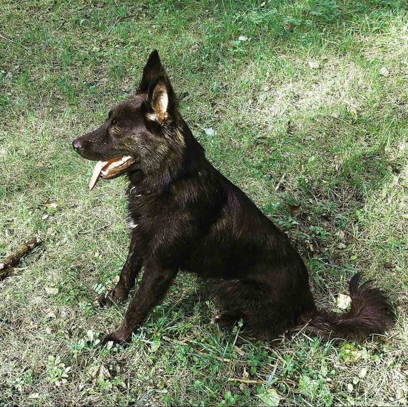 EFA1BEA3-982E-4A4A-B0E3-F47EED883EC6