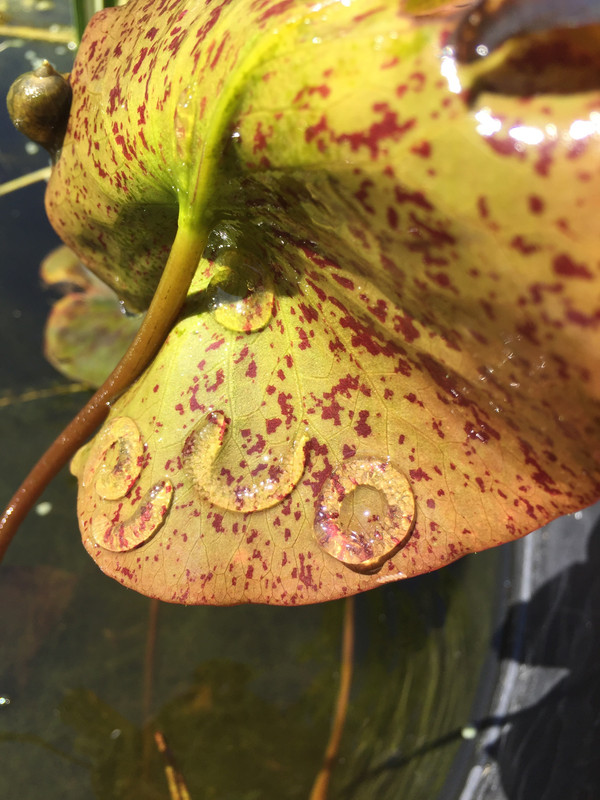 CC997DC0-80E7-45A0-9407-F92B2AB0A22D