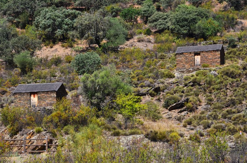 PARQUE NACIONAL DE MONFRAGÜE-2020/2023 - EXTREMADURA Y SUS PUEBLOS -2010-2023 (176)