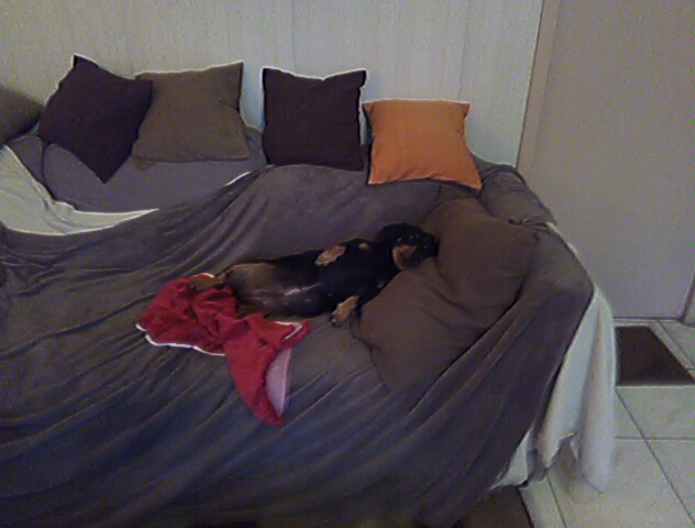 [Image: PANO-20211214-154405.jpg]