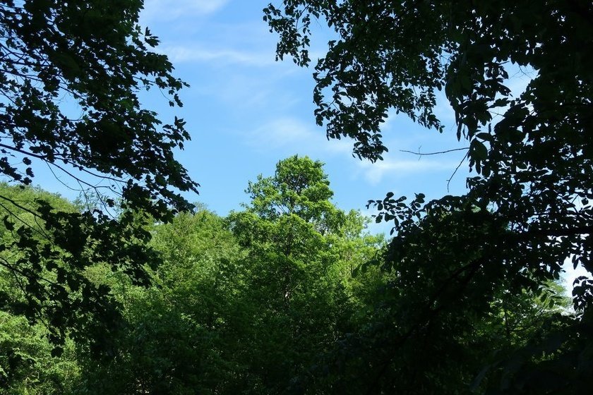 Travnik2019