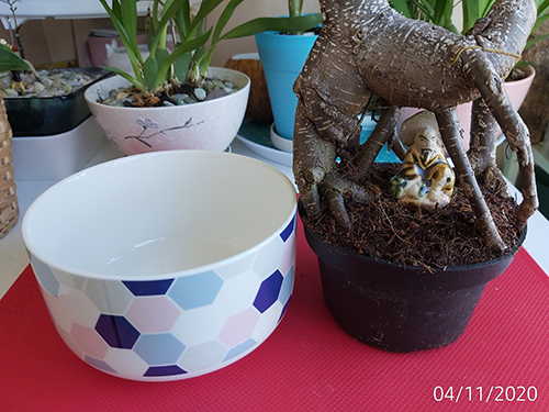 [Image: IMG-20201104-102121.jpg]