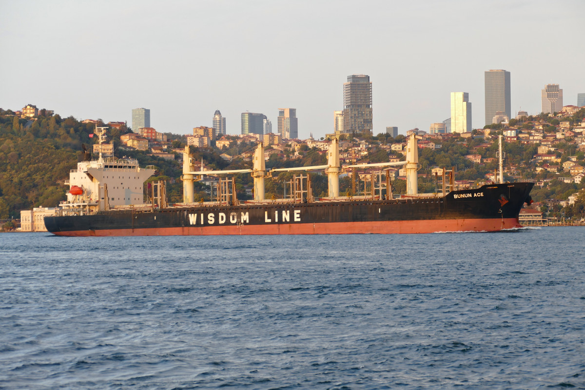 Bunun Ace (OK-070923-0)