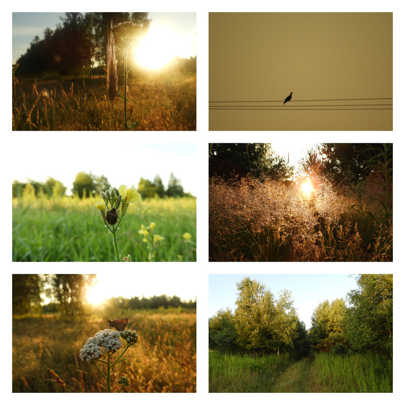 dziendobrywtenwielkidzien