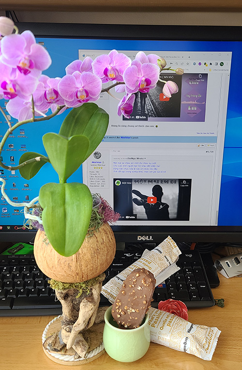 [Image: 20220903-130353.jpg]