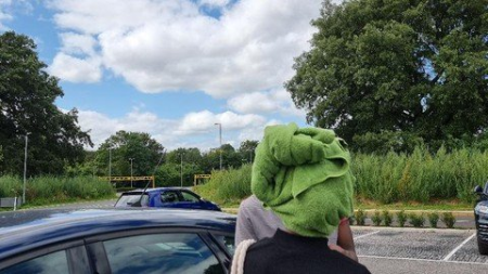 Pure Mathematics Advanced Level