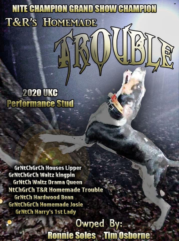 2A77B97D-7BFB-449C-B319-13D91FF082A1