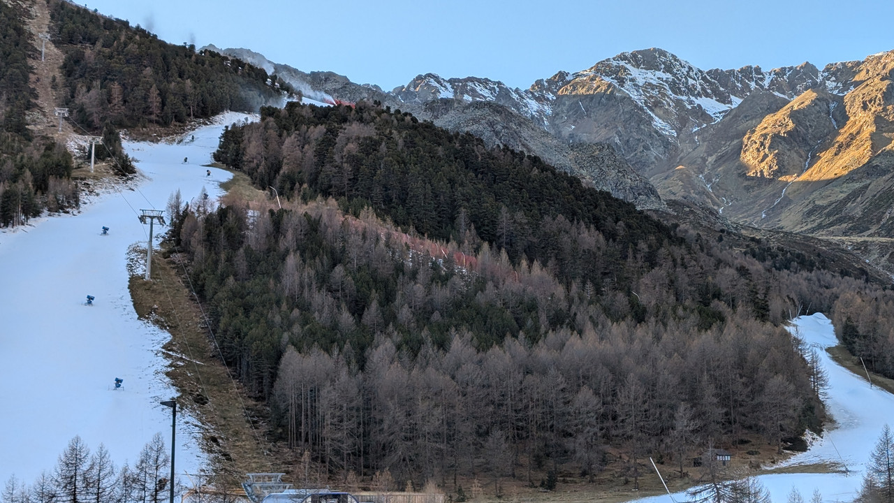 PXL_20241117_134209604.MP