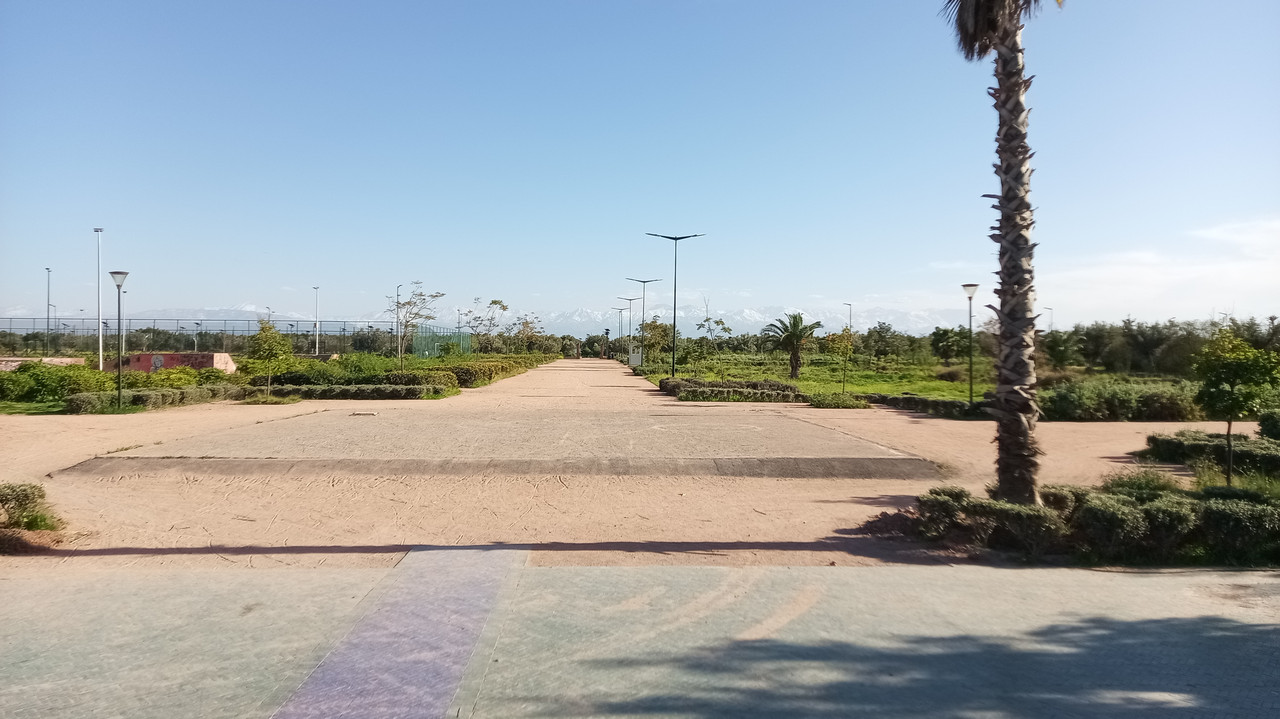 [Obrazek: IMG-20260224-162814-585.jpg]