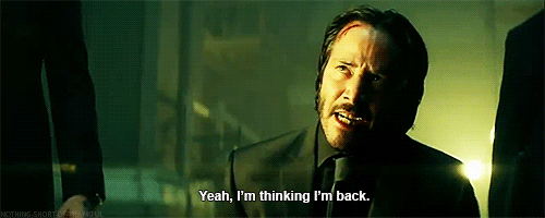 tumblr-nenewnw0d71qadbq2o1-r2-500.gif