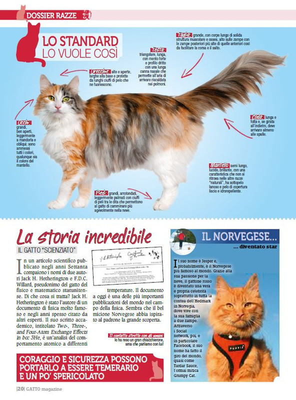 Ga Ma Dic 2017 - Gen 2018 (5)