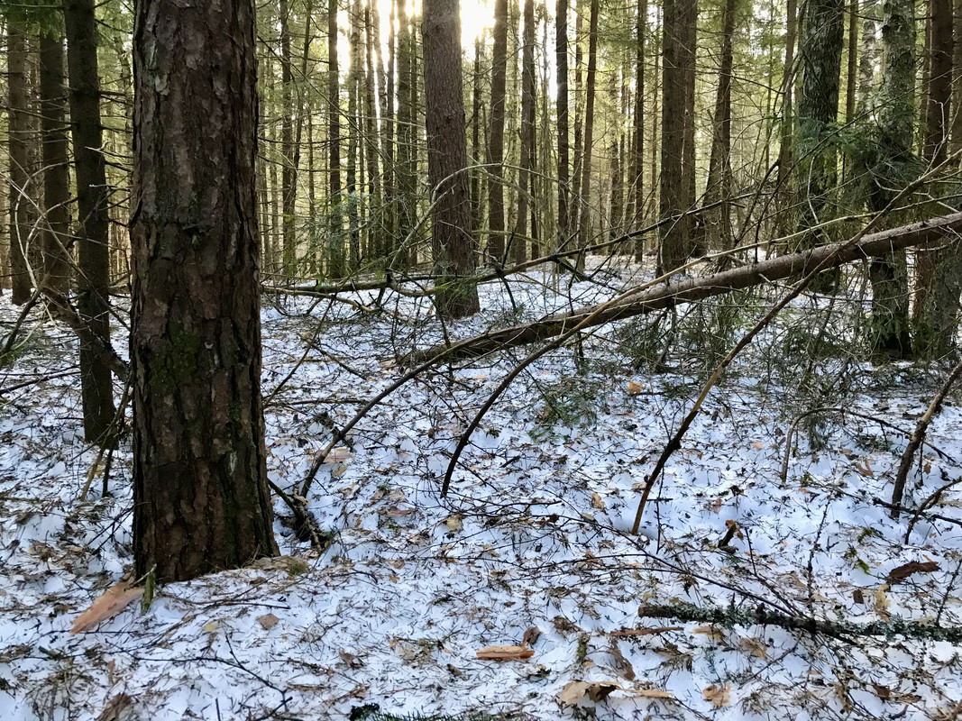 9CBEB5D2-6E15-45D1-9A2E-BE3A9105CDCE