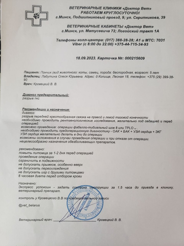 photo_2023-09-18_13-44-15 (2)