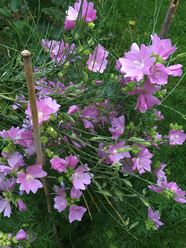 70FE9DC0-C40F-4B5A-9AC4-A285FB361A30