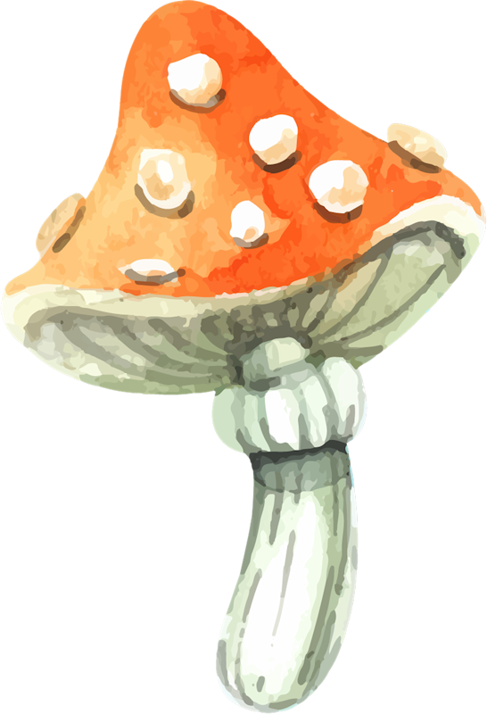 IPD_WP_Element (128)