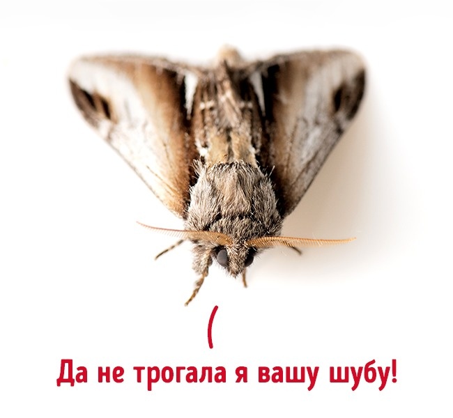 12 доказательств того, что наша жизнь — ложь