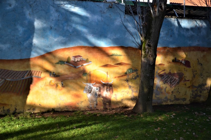 COLMENAR VIEJO-28-12-2013-MADRID - Paseando por España-1991/2016 (21)