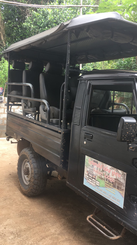 31 de diciembre - Safari y Galle - Navidad en Sri Lanka - Diciembre 2017 (1)