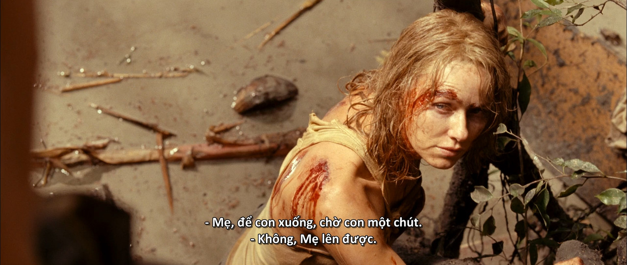 (Vietsub) The Impossible 2012 BluRay 1080p DTS x264-CHD.mkv_snapshot_00.27.29.539