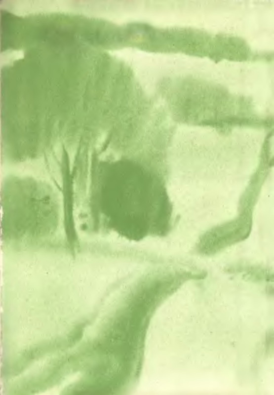p0002