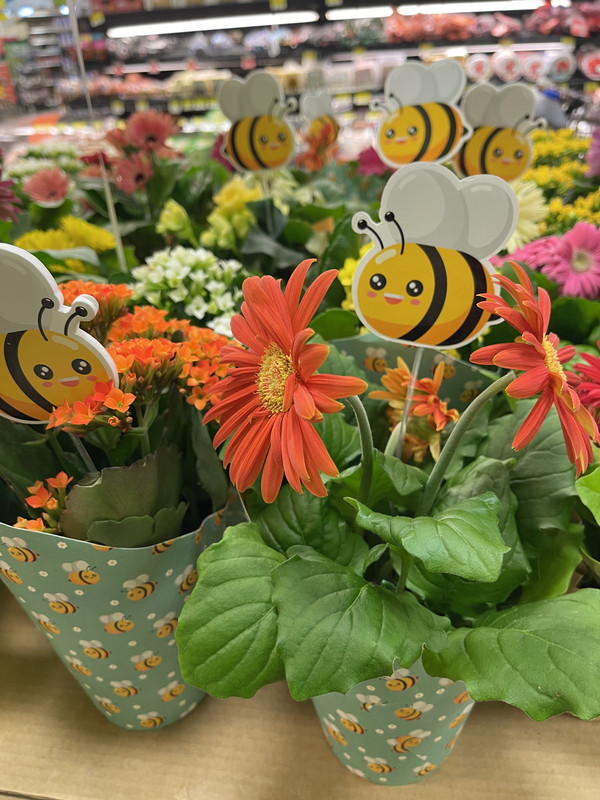 45036485-DC54-463F-A0EB-F62155924D86