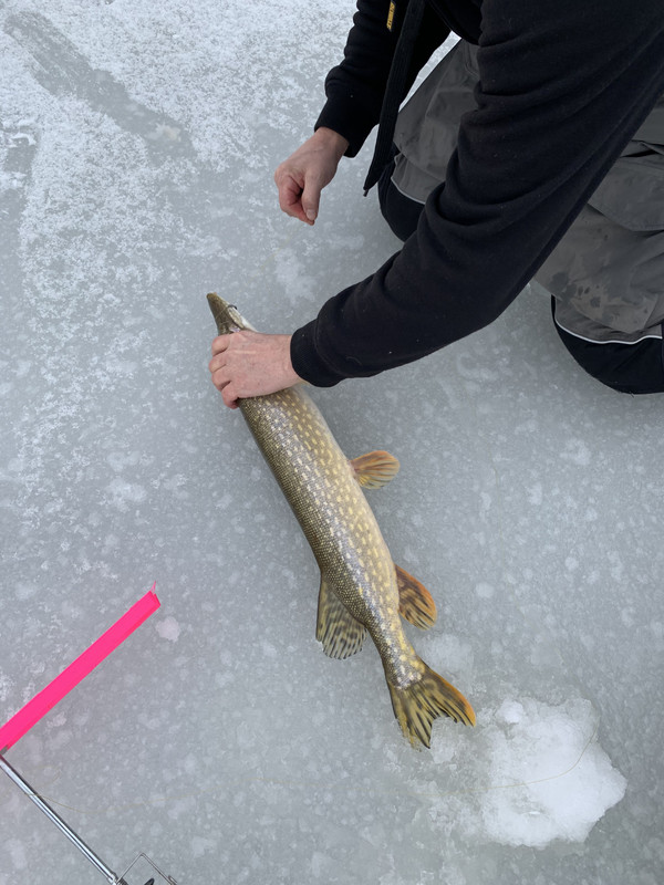 244ABF8E-0A92-4081-A5A2-98766D727C32