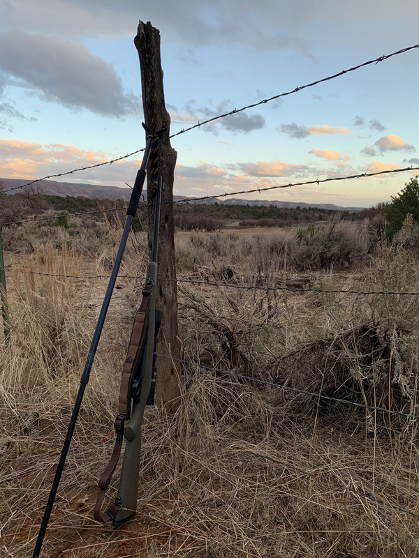 9061C20B-6A4B-4B94-8CF1-82F1A61D4E13