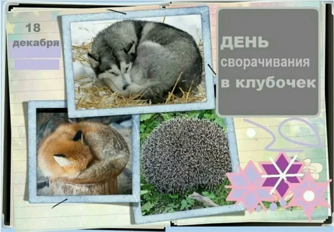 _20231218_141703