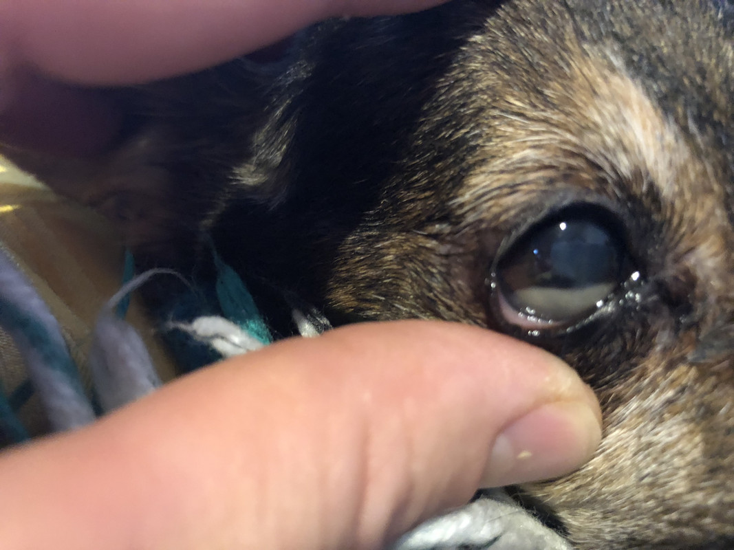 D4E957B9-E6D0-4A9A-B799-8EF2CF870DEA