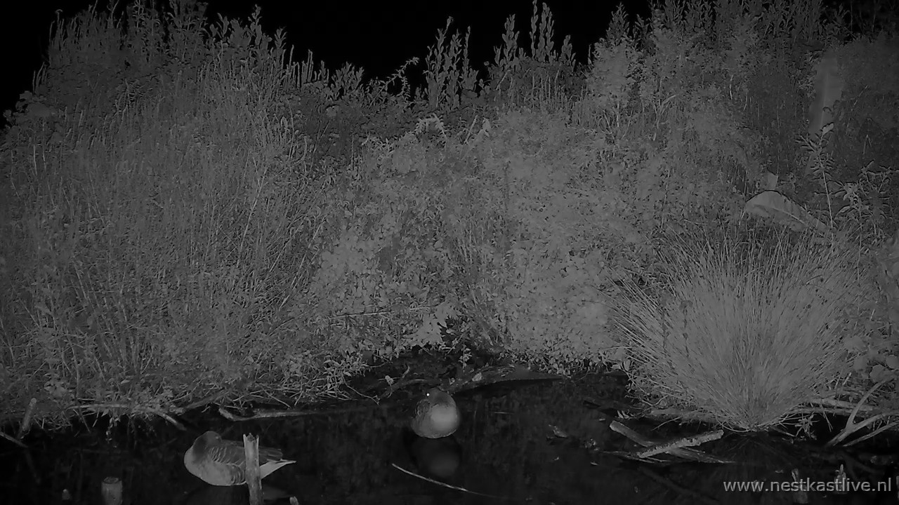 snapshot - 2025-10-06T235610.941