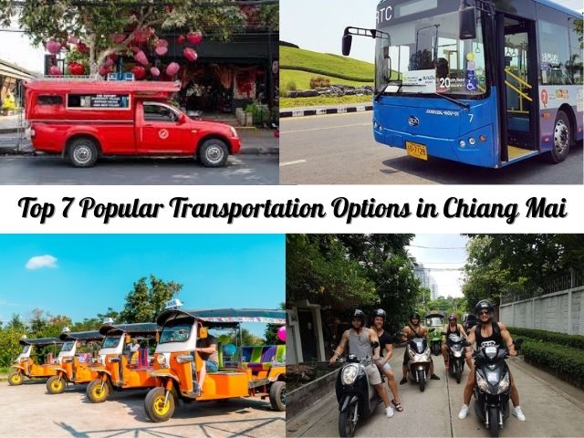 Top-7-Popular-Transportation-Options