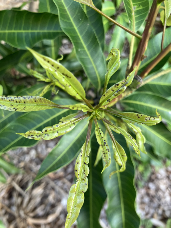 350959B6-49C9-4C3E-B49F-B855DB3EBDAC