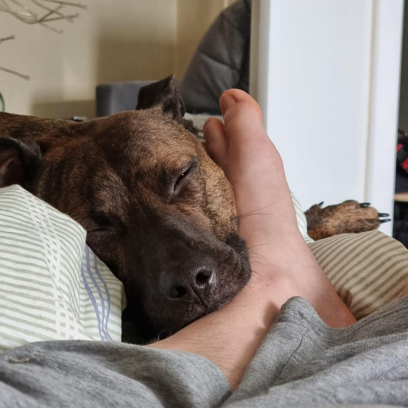 32B5655A-91B6-4725-A097-52AA9E27B895