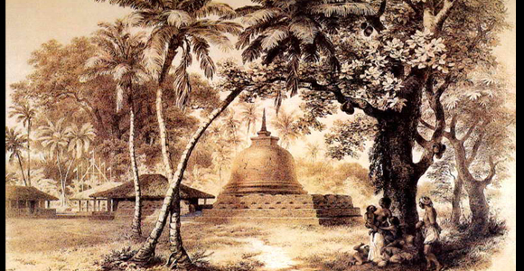 pix3.jpg