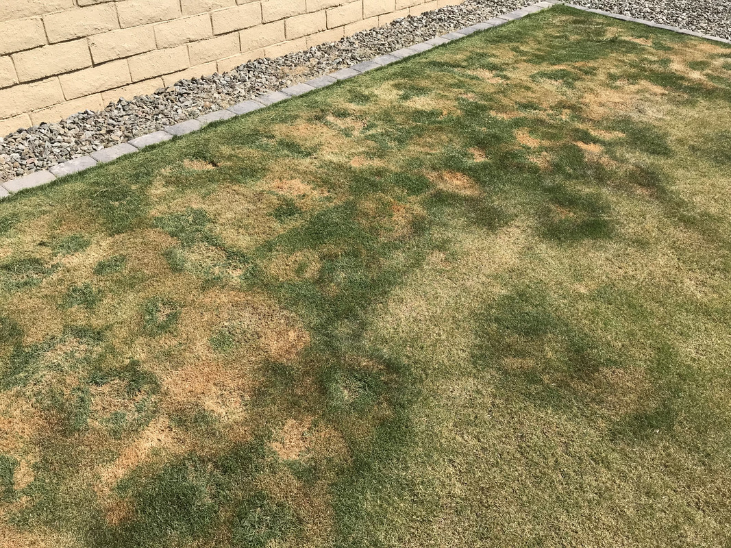 EAEE3875-A97E-484A-89F0-95051B6E8C3B